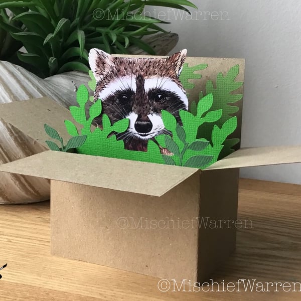 Raccoon 3D box card - for birthday, Christmas, or personalised for any occasion.