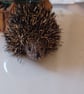 Cute Hedgehog Easter egg gift cover fun colours to choose from  - Image 3