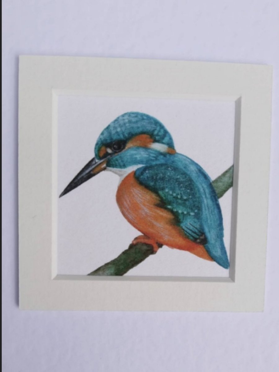 Kingfisher greeting card, bird card, bird lovers cards, watercolour bird card.