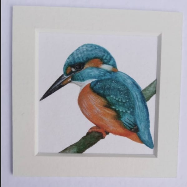 Kingfisher greeting card, bird card, bird lovers cards, watercolour bird card.