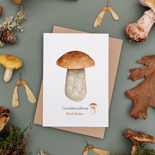 Botanical Mushroom Greetings Card - Bolete