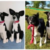Sheep Dog Keepsake