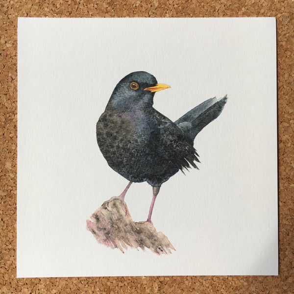 Watercolour blackbird giclée print
