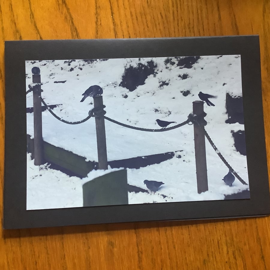 Handmade original photo card 'Feeding time' in the snow.