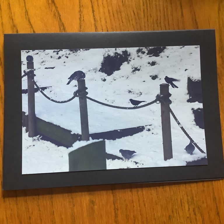 Handmade original photo card 'Feeding time' in the snow.