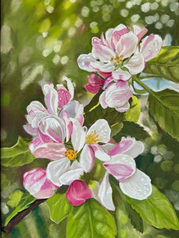 Apple blossom time - pastel painting