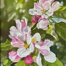 Apple blossom time - pastel painting
