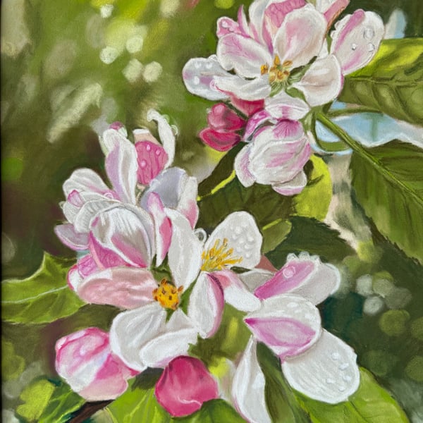 Apple blossom time - pastel painting