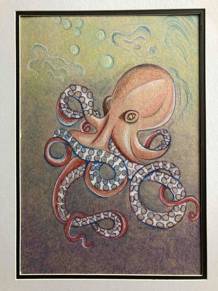 SALE,octopus in coloured pencil. 