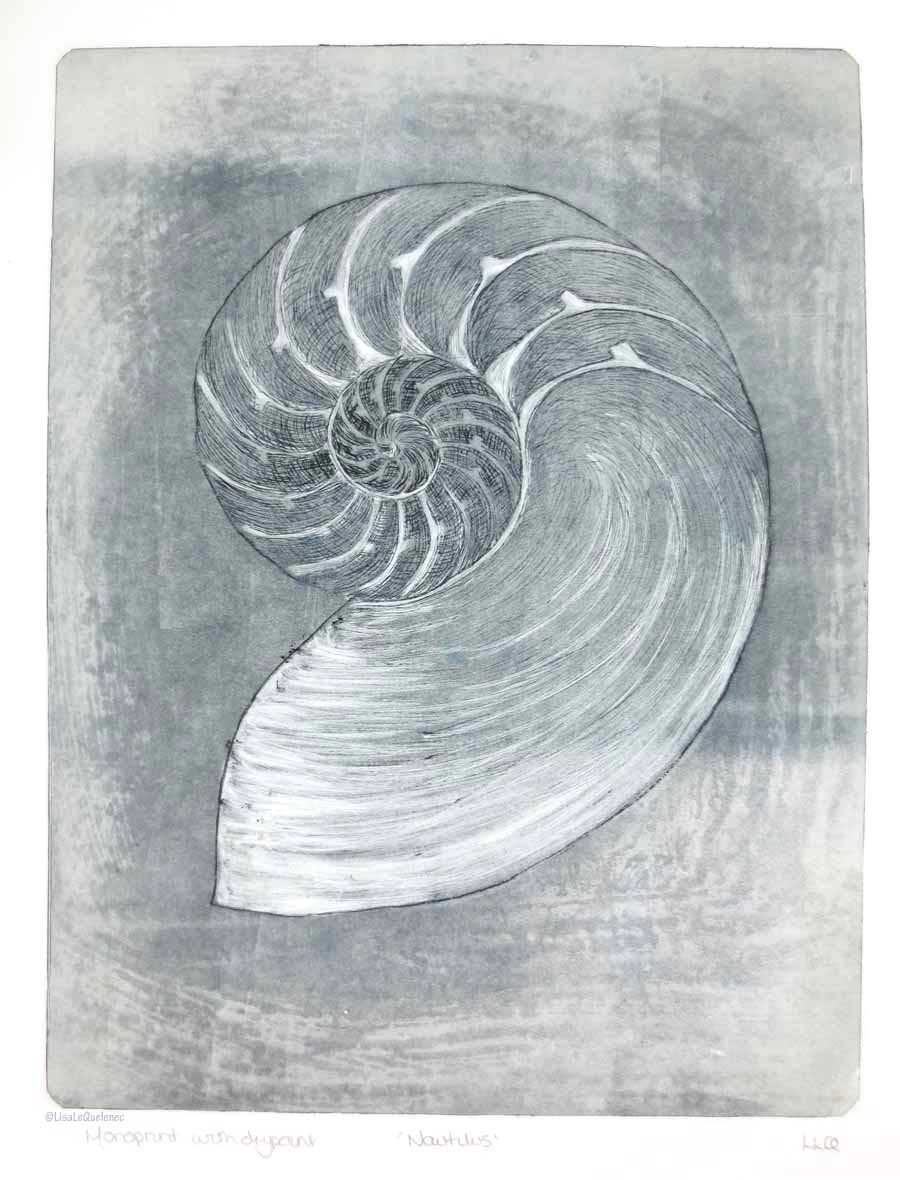 Original drypoint etching of a chambered nautilus shell cross section