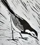 Pied Wagtail Original Lino Cut Print