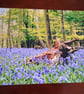 BLUEBELLS AND A LOG PHOTOGRAPH 