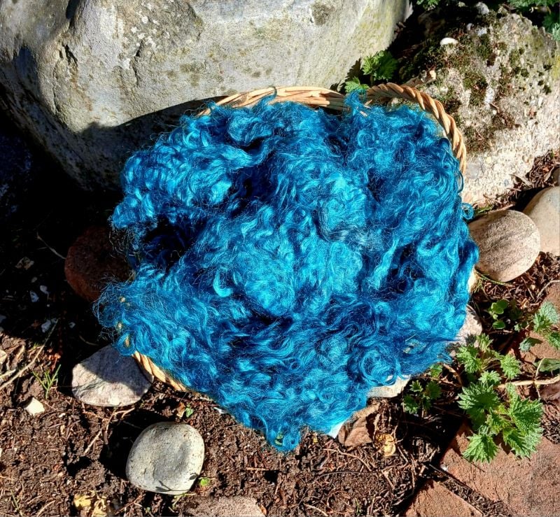 Turquoise Gotland fleece 50g