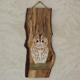 Baby tawny owl panel