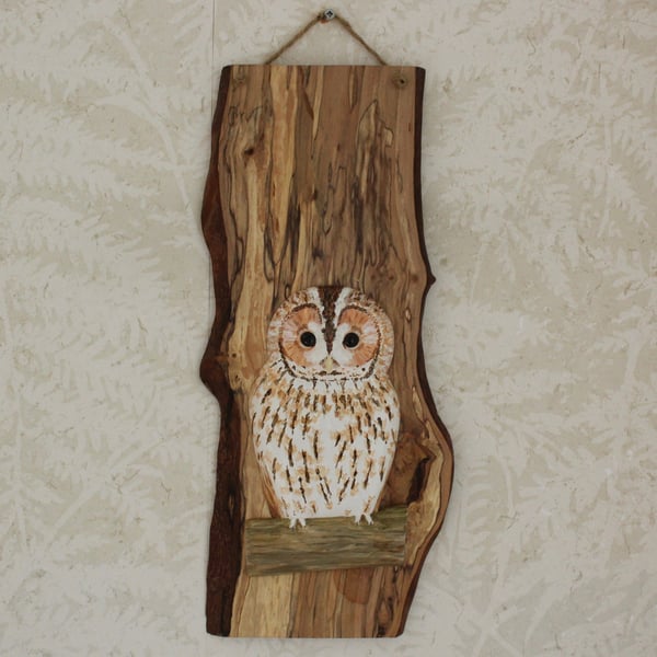 Baby tawny owl panel