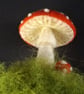 Toadstools on Moss. Needle Felted Fibre Art. Handmade by The Mossy Nook - Image 4