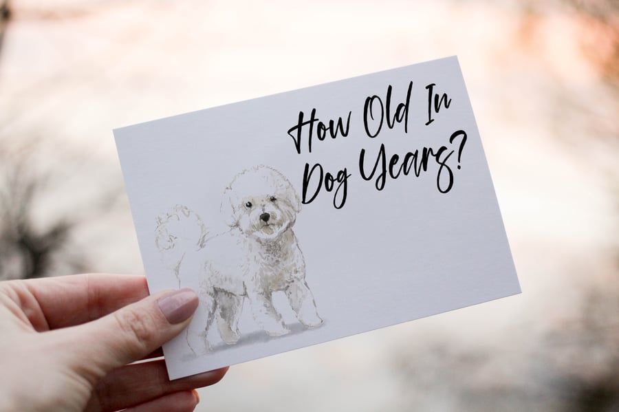 Bichon Frise Dog Birthday Card, Dog Birthday Card, Personalized