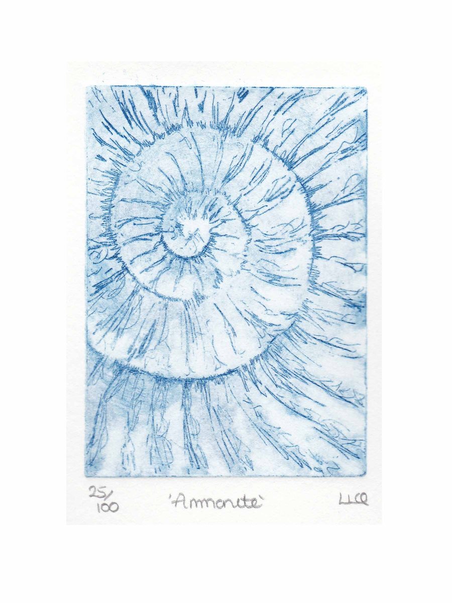 Etching no.25 of an ammonite fossil in an edition of 100
