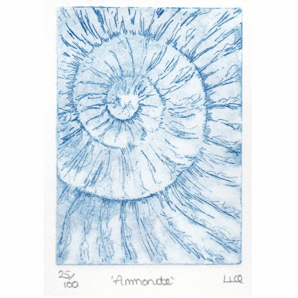 Etching no.25 of an ammonite fossil in an edition of 100