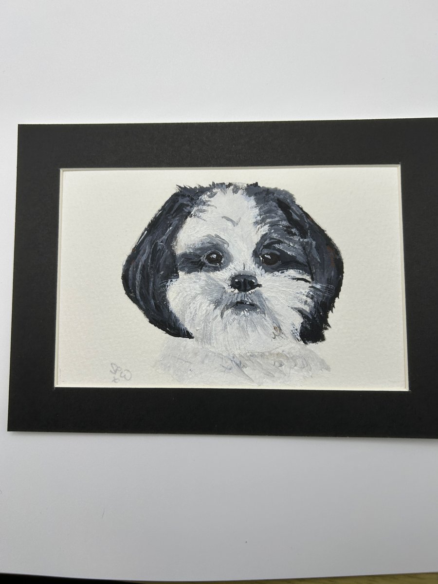 Image of Original portrait painting of a Shih Tzu dog 5x7" pet portrait