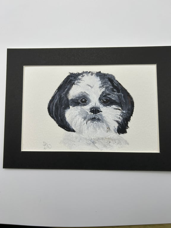 Original portrait painting of a Shih Tzu dog 5x7" pet portrait