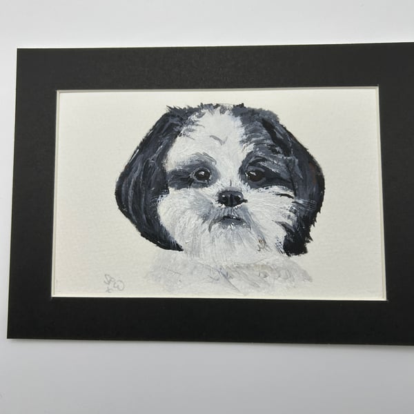 Original portrait painting of a Shih Tzu dog 5x7" pet portrait