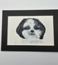 Original portrait painting of a Shih Tzu dog 5x7" pet portrait - Image 1