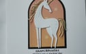 Cards for Kids Children 