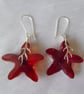 Sterling Silver and Swarovski Crystal Starfish Earrings - Image 5