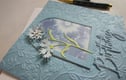 Birthday Cards 