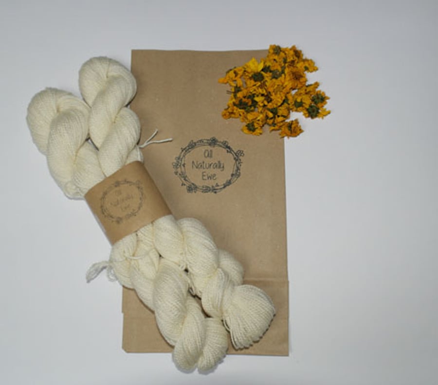 Natural Dye Kit  with 50g Skein