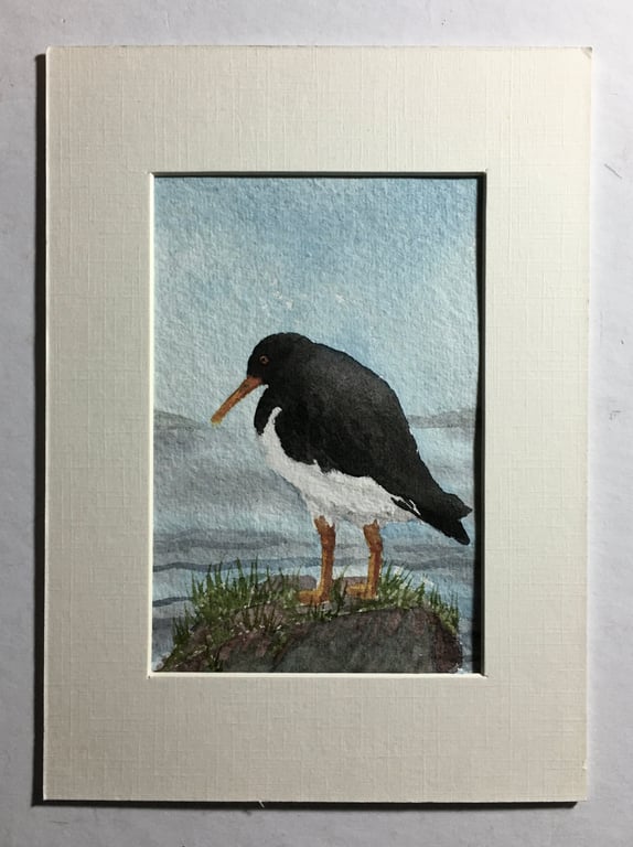 Lone oystercatcher original painting 