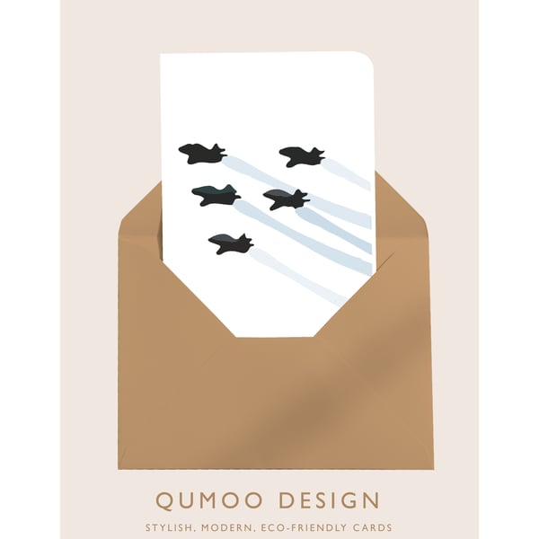 Card Planes (individual, multipack of 5, and unframed mounted) (QM240)