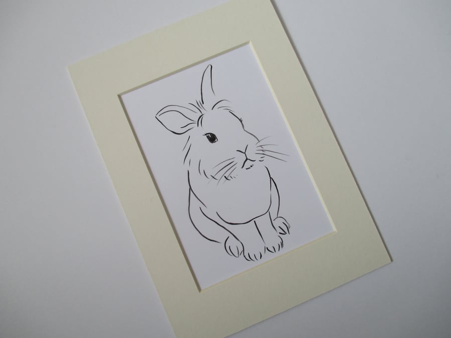 Lionhead Rabbit Original Bunny Rabbit Line Painting