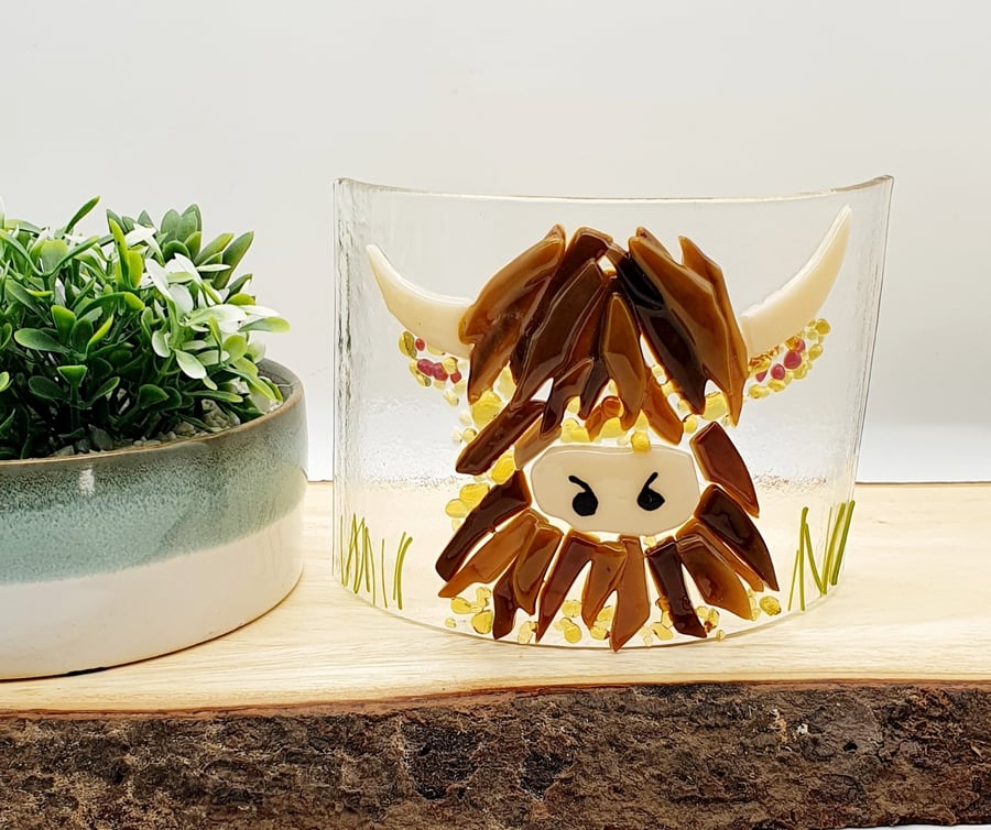 Fused Glass Highland Cow Curve