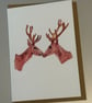Happy Noel A5 Christmas Greeting Cards 