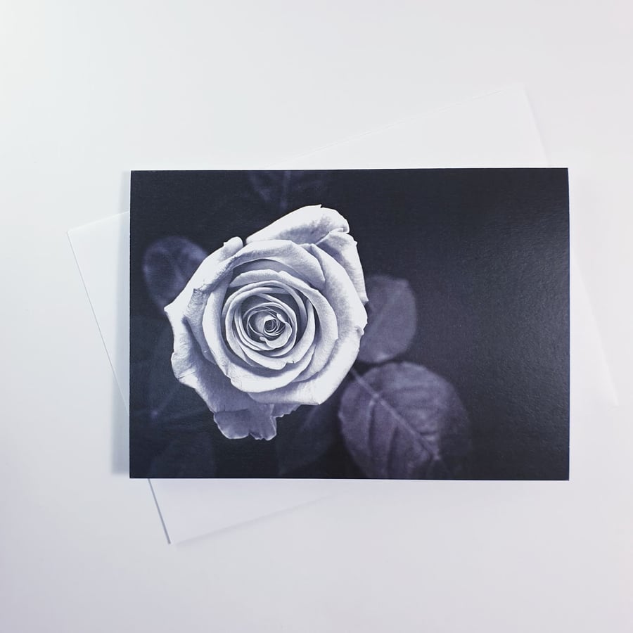 Black White Flower Photography Note Card, Greeting Card, Blank with Envelope, A6