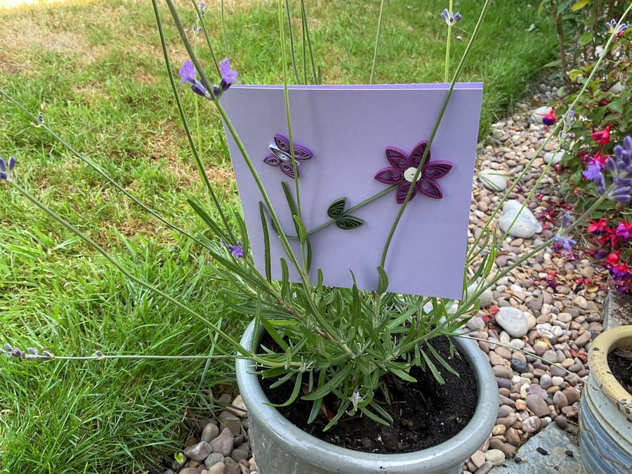 Quilled Purple Daisy & Butterfly Greetings Card