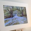 PRINT - Bluebells