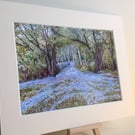 PRINT - Bluebells