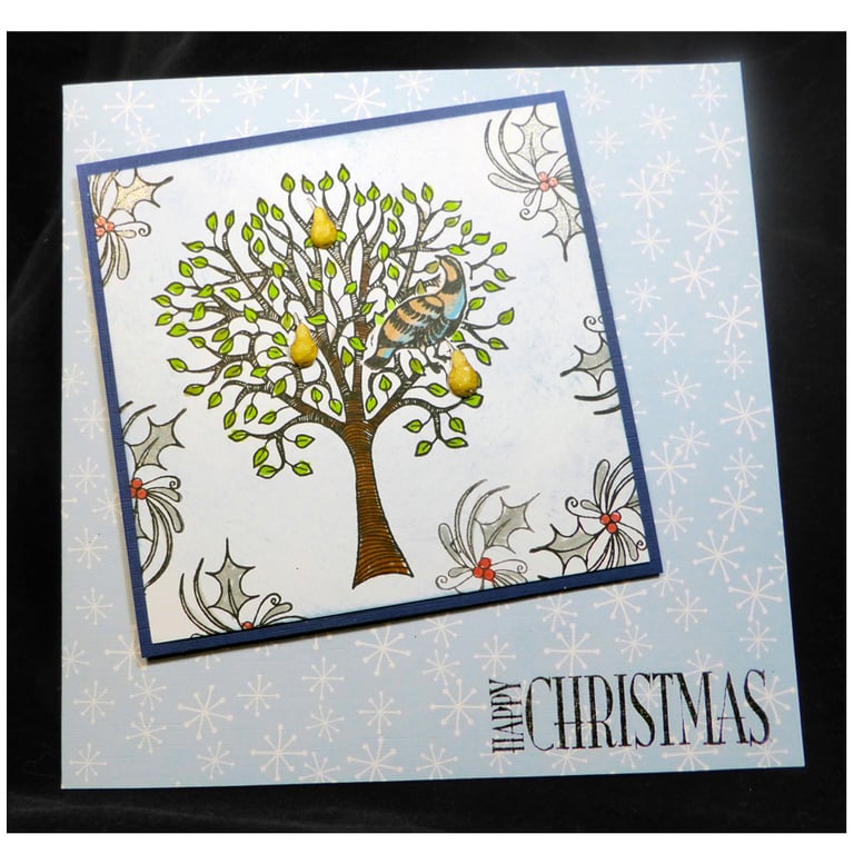 A Partridge in a Pear Tree (X558)