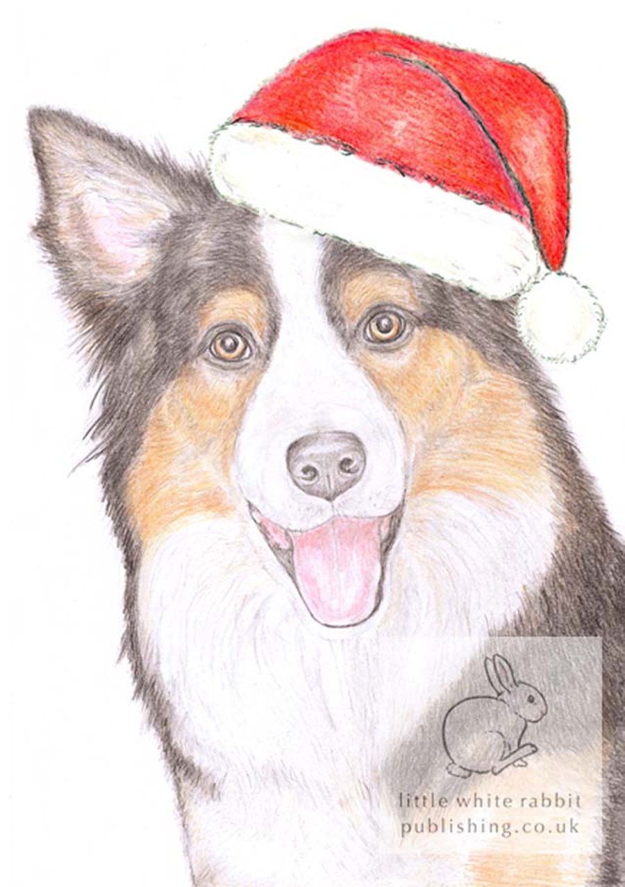 Holly the Border Collie - Christmas Hat Card