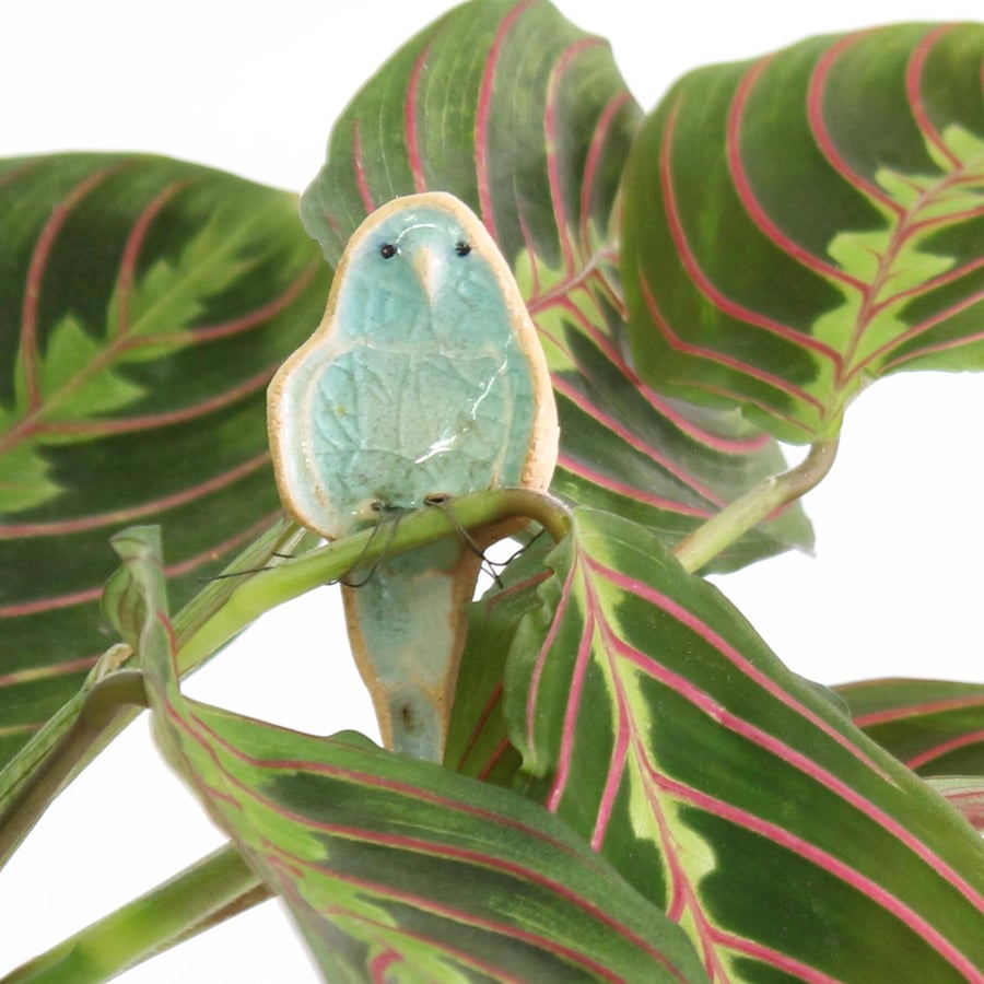 Pale Blue Budgie Plant Decoration Gift Card Letterbox Gift