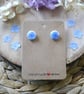 Real Forget-Me-Not and Resin Stainless Steel Stud Earrings - Image 2