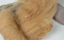 Natural Dye BFL Felting Wool