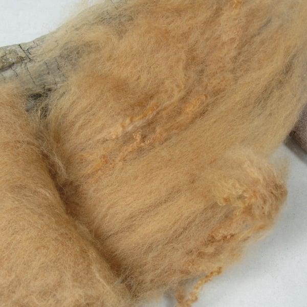 10g Naturally Dyed Cutch Brown BFL Shetland Felting Wool