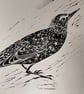 Starling Linocut Art Print - Image 3