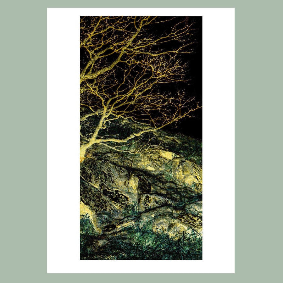 OriginalPrint 'Root and Rock 5'. (A2 size)