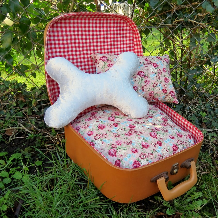 A quirky pet bed made from a 1960s vanity case.  For a handbag dog or small cat.