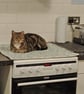 Induction Hob Cover Deer Fox Owl Duck Egg Ceramic Top Mat Kitchen Surface Saver - Image 4